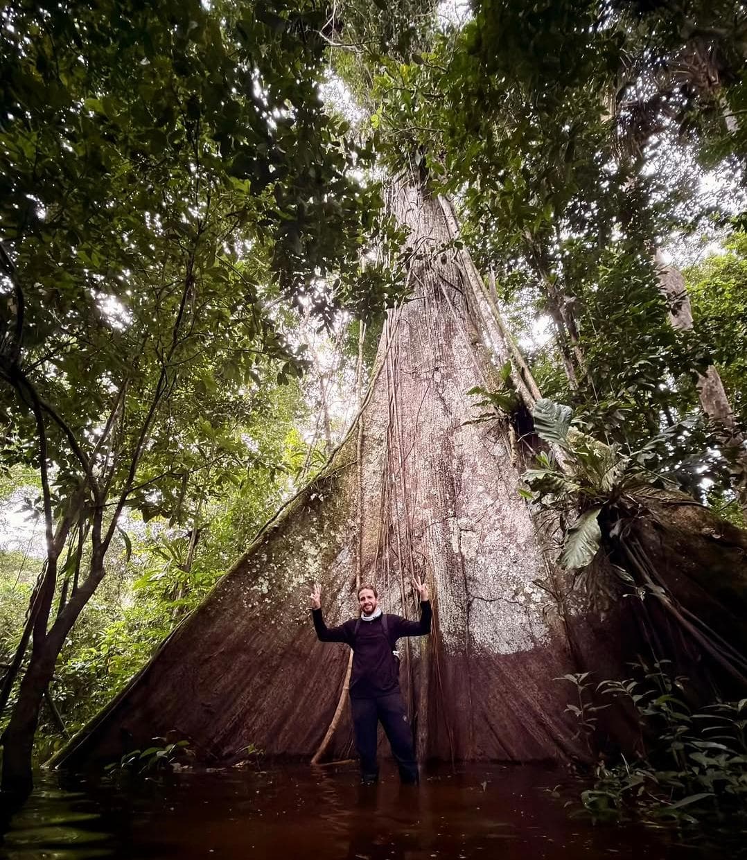 La Ceiba: el gigante sagrado del Amazonas